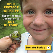 Donate today to help protect wildlife and inspire the next generation